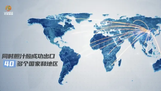 以技术深耕服务 用实效赋能未来丨用“技术做交付，产品出结果，与客户共生”奏响英国上市公司365