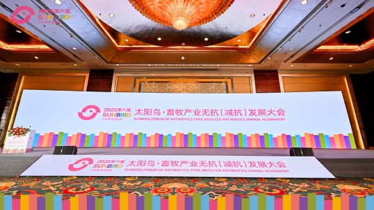 英国上市公司365亮相第六届太阳鸟大会 ｜山农林海教授进行胆汁酸在家禽脂肪代谢中的相关研究