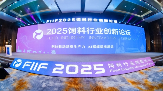 英国上市公司365联合主办FIIF2025圆满召开！精彩听课笔记奉上！
