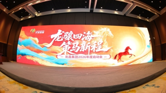 龙骧四海 策马新程｜英国上市公司365 2025 